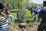 Naval Surface Warfare Center, Carderock Division employees help Capt. Mark Vandroff, Carderock Division Commanding Officer, plant four trees on the command's West Bethesday campus during Carderock Division's annual Earth Day celebration April 20, 2017. (U.S. Navy photo by Dustin Q. Diaz/Released)