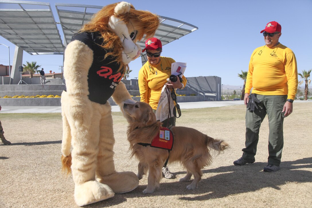 Gunner, golden retriever comfort dog, meets the Drug Abuse Resistance Education Lion during the Provost Marshal’s Office annual Community Safety Event at Victory Field aboard Marine Corps Air Ground Combat Center, Twentynine Palms, Calif., April 21, 2017. PMO hosted the event to educate the community on various programs and strengthen community based partnerships. (U.S. Marine photo by Lance Cpl. Natalia Cuevas)