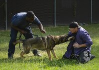Canine handlers from local police departments joined the 3rd Military Police Detachment for military working dog training at Joint Base Langley-Eustis, July 24-27, 2017.