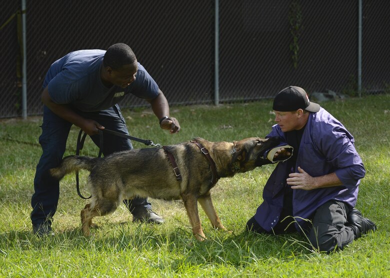 Military Working Dogs Bite Into Joint Training Joint Base Langley Eustis Article Display