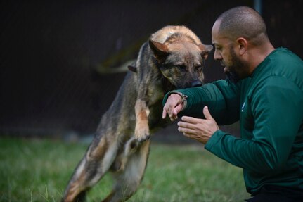 Canine handlers from local police departments joined the 3rd Military Police Detachment for military working dog training at Joint Base Langley-Eustis, July 24-27, 2017.