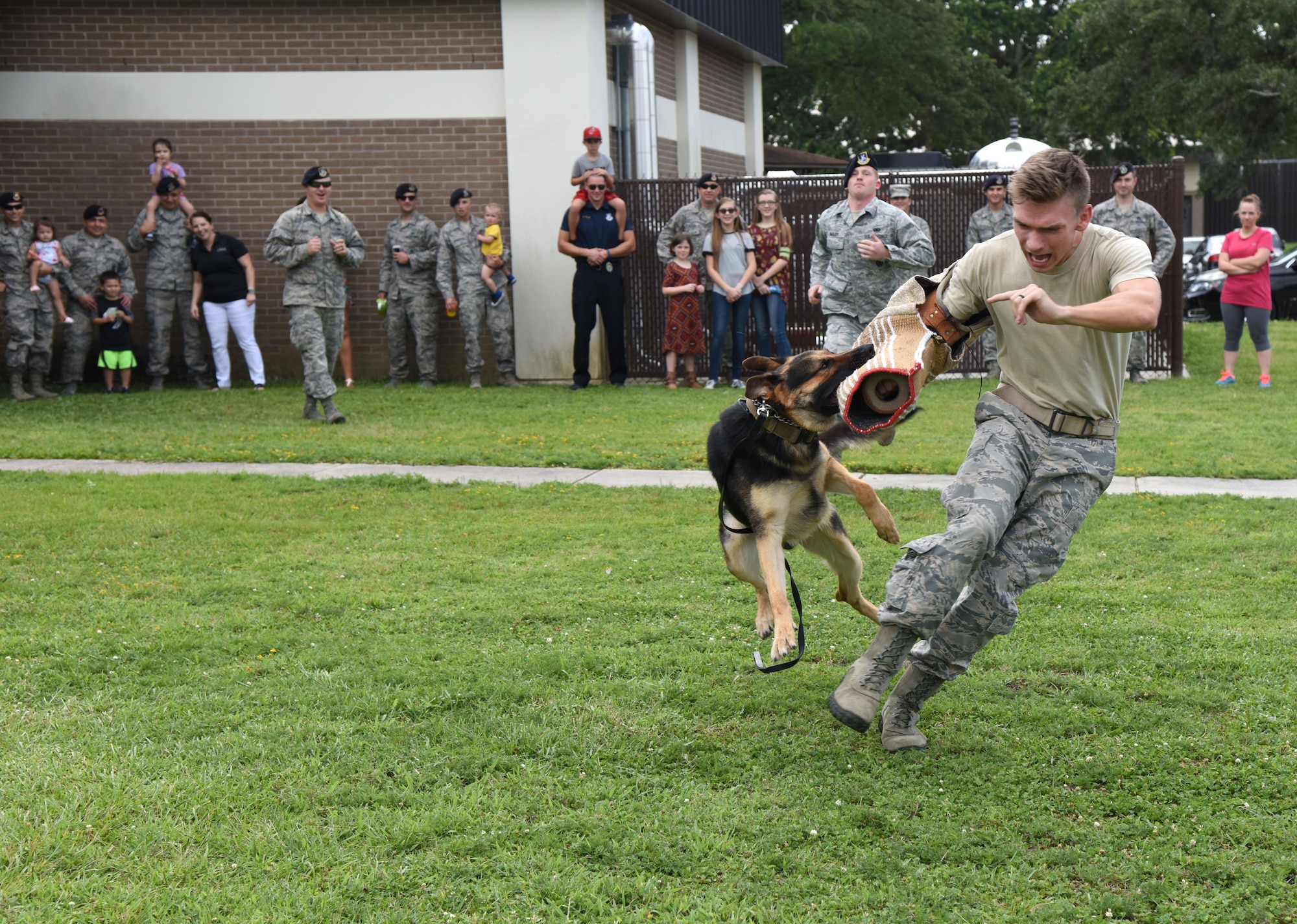 Staff Sgt. Jordan Leiter, 81st Security Forces Squadron military working dog handler, and Gamma, 81st SFS MWD, participate in a MWD demonstration during a family ice cream social at the 81st SFS building July 27, 2017, on Keesler Air Force Base, Miss. The event, hosted by the 81st SFS Defenders Council and Key Spouses, also consisted of a combat arms weapons display and ice cream. (U.S. Air Force photo by Kemberly Groue)