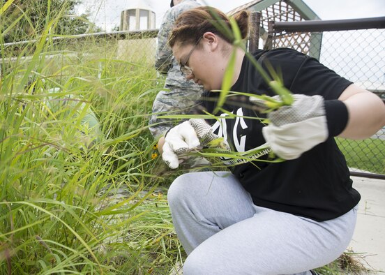 Airmen 1st Class Jacinta Krietzer, 436th Force Support Squadron customer service technician, pulls weeds during a landscaping project July 27, 2017, at the Child Development Center on Dover Air Force Base, Del. SHE is a part of the Airmen Committed to Excellence council which provides Airmen with opportunities to network, lead and step out of their comfort zone. (U.S. Air Force photo by Staff Sgt. Jared Duhon)