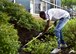 Ben Ringlod, a member of the Direct Link program, focuses on the task at hand as he rakes leaves, July 26, 2017, here. The Direct Link program allows members to get acclimated to different jobs and allows them to work out in the community. (U.S. Air Force Photo by Senior Airman Jeffrey Grossi)