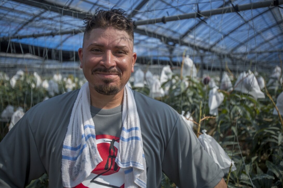 Mike A. Miranda, also known as Mango Mike, stands in one of his greenhouses, July 22, 2017 in Motobu, Okinawa, Japan.
