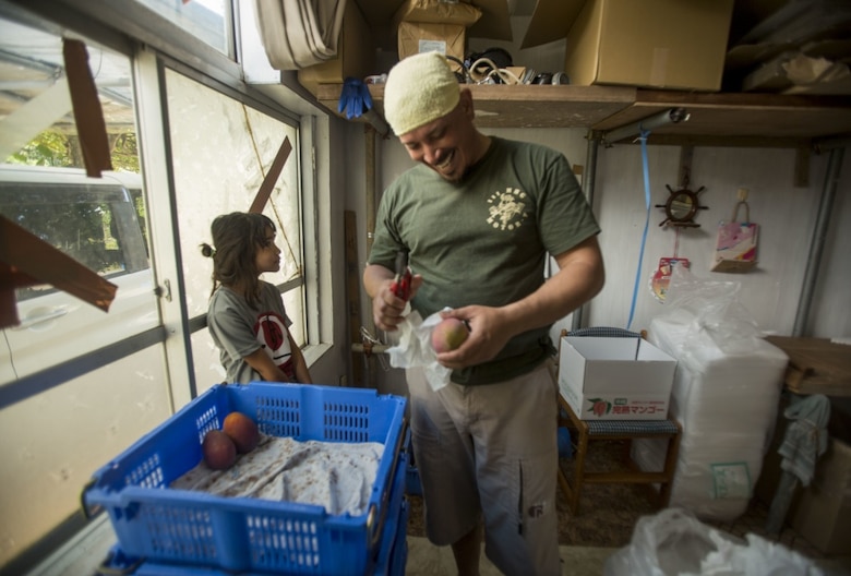 Mike A. Miranda and his daughter, Tiana, share a moment while prepping mangos for packaging July 22, 2017 in Motobu, Okinawa, Japan.
