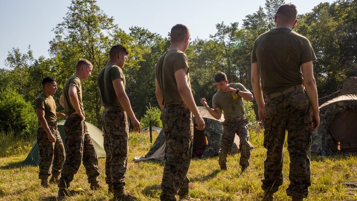 U.S. Marine Sgt. Kevin Eskins, a combat engineer with 4th Combat Engineers Battalion, 4th Marine Division, Marine Forces Reserve, demonstrates a horizontal hammer fist during a Marine Corps Martial Art Program course at Camp Grayling, Michigan, during exercise Northern Strike 2017, July 31, 2017. Northern Strike 2017 brought together Reserve Marine from across the country to provide realistic combined arms trainings to cover a spectrum of combat scenarios.