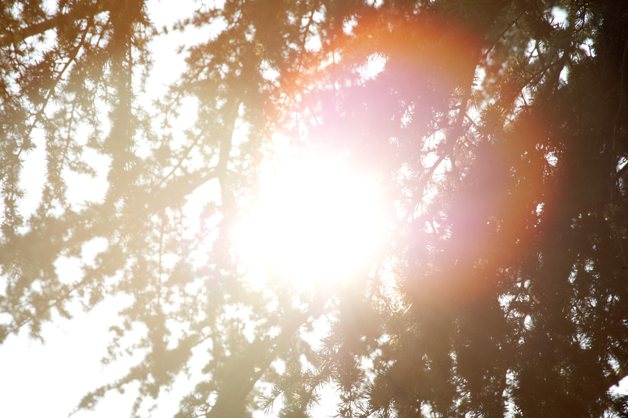 The sun peeks through the trees on Joint Base Lewis-McChord, where high temperatures and haze from British Columbia wildfires have become part of the backdrop to the exercise Mobility Guardian. The exercise is multinational with crews flying sorties every day for an 11 day period.