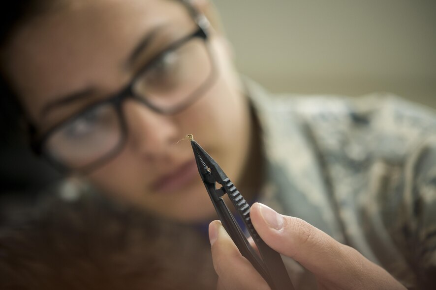 Identifying a mosquito