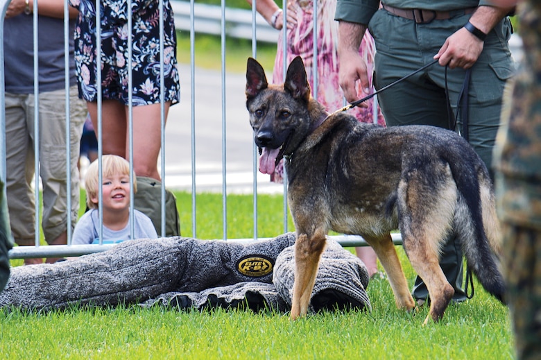 It was all smiles for these two guys as participants watched the Provost Marshal's Office K-9 Unit in action.