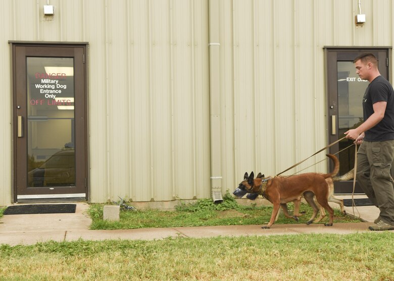 Dyess Vet Clinic keeps family pets, pet defenders healthy > Dyess Air