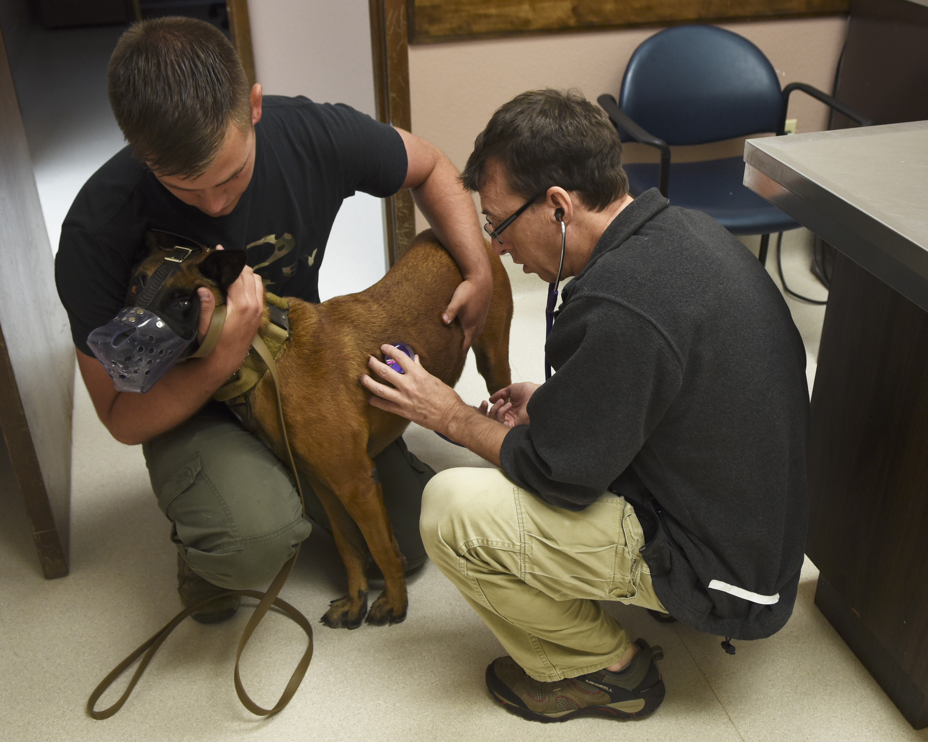 Dyess Vet Clinic keeps family pets, pet defenders healthy