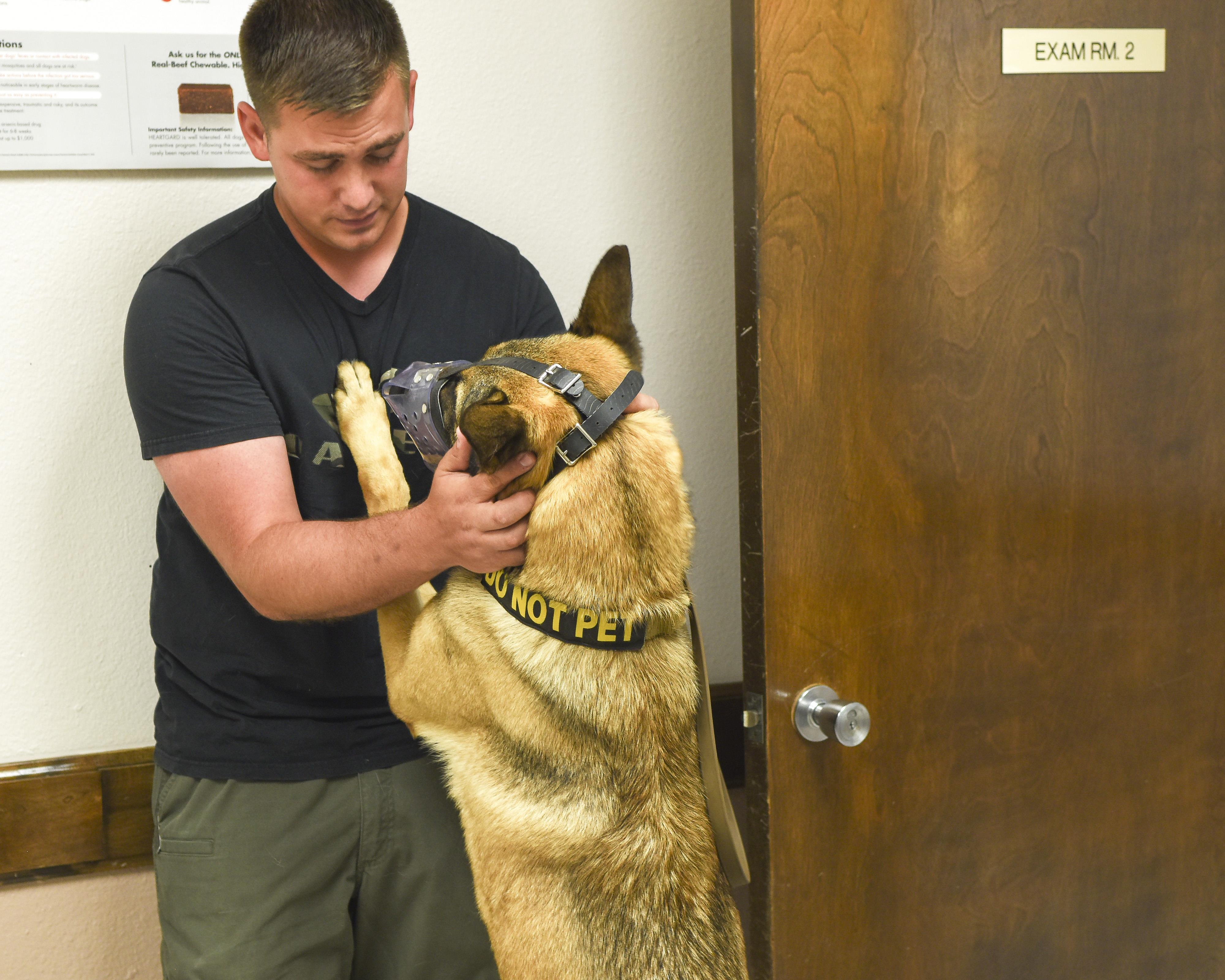 Dyess Vet Clinic keeps family pets, pet defenders healthy