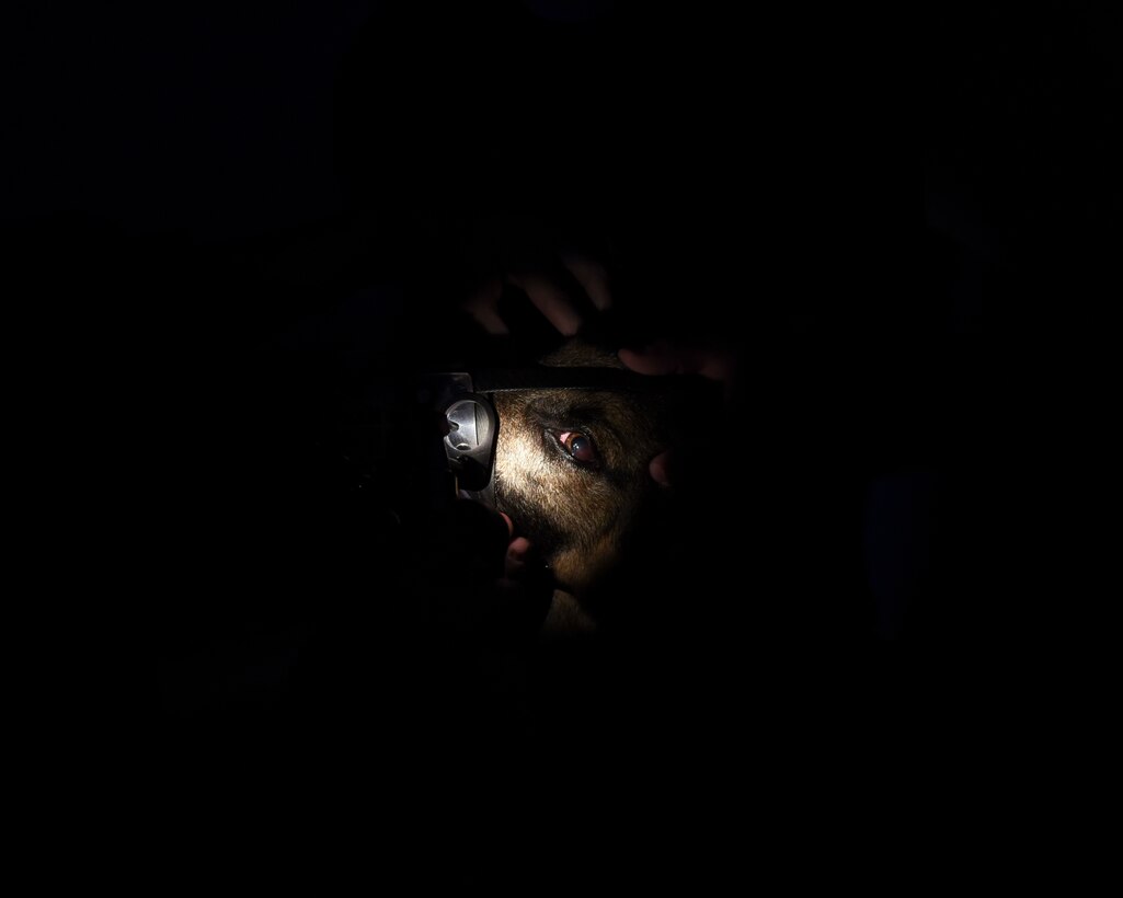 Dyess Vet Clinic keeps family pets, pet defenders healthy