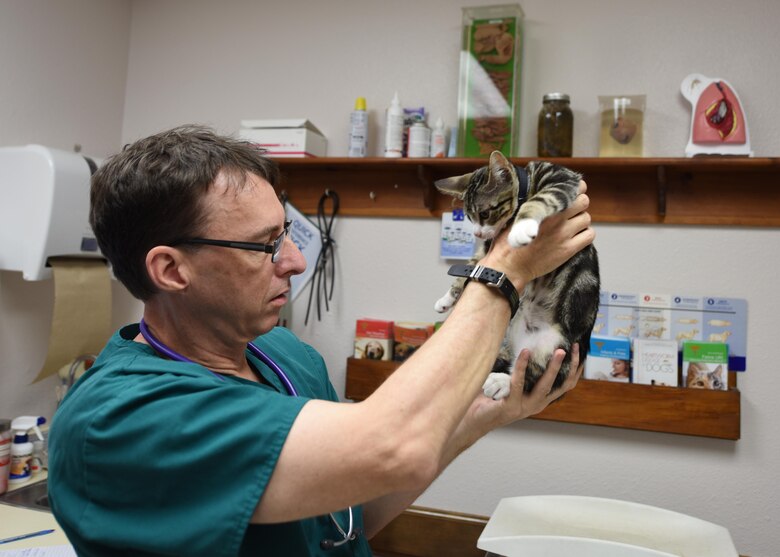 Dyess Vet Clinic keeps family pets, pet defenders healthy ...