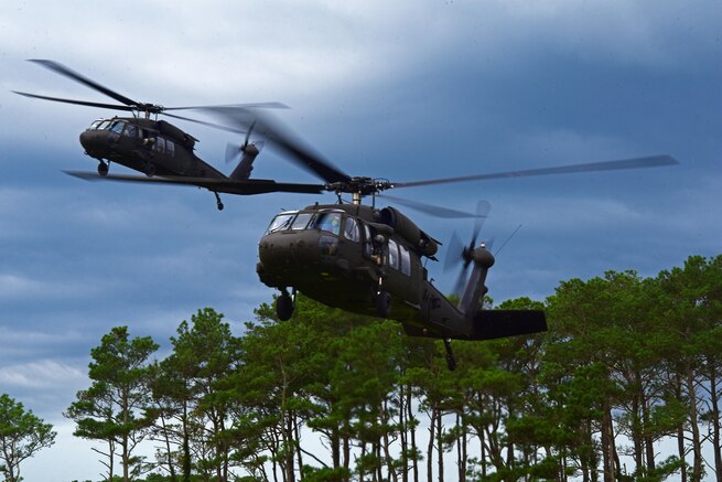 Honorary Commanders and local business leaders come together for the Center of Influence Conference for demonstrations by the 166th Airlift Wing EOD and Army National Guard CST, a ride on a Blackhawk, and a briefing on the state of the guard by Maj. Gen. Carol A. Timmons, adjutant general, Delaware National Guard, Bethany Beach, De., 27 July 2017. (U.S. Air National Guard photo by SSgt. Andrew Horgan/released)