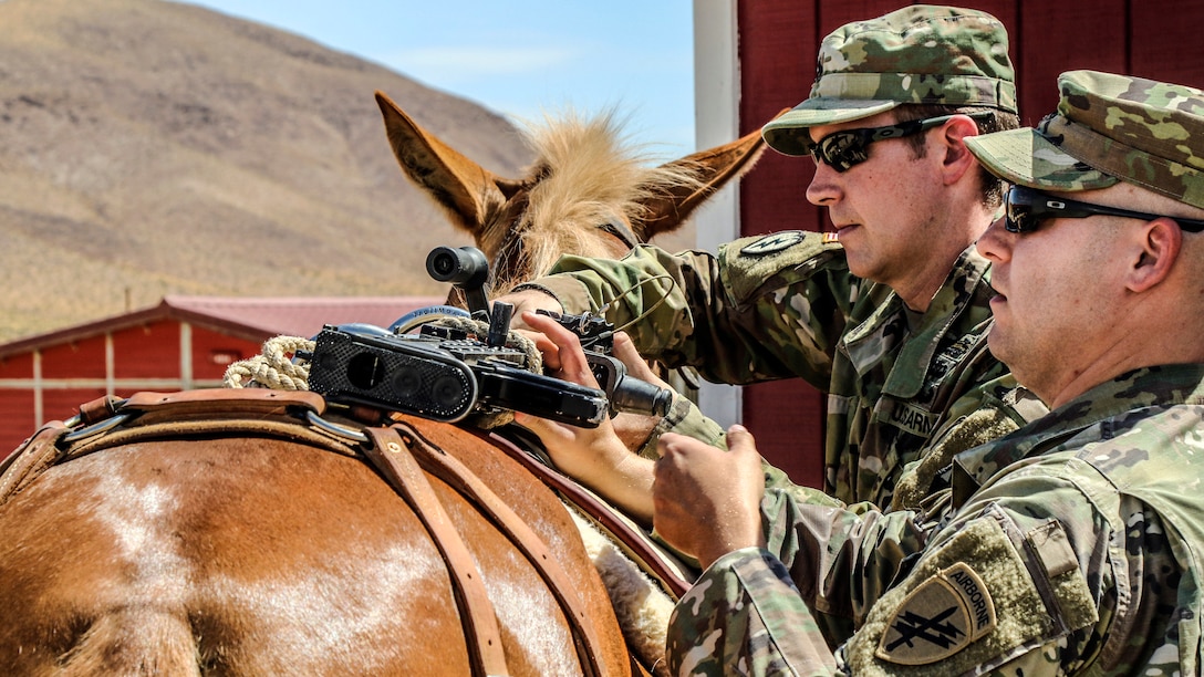 Two soldiers attach a weapon to a saddle on a mule.