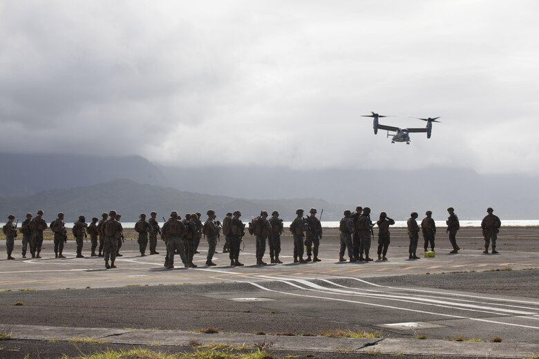 Marines with 3rd Battalion, 3rd Marine Regiment, conducted a non-combatant evacuation operation (NEO) at Marine Corps Training Area Bellows (MCTAB), July 25, 2017.