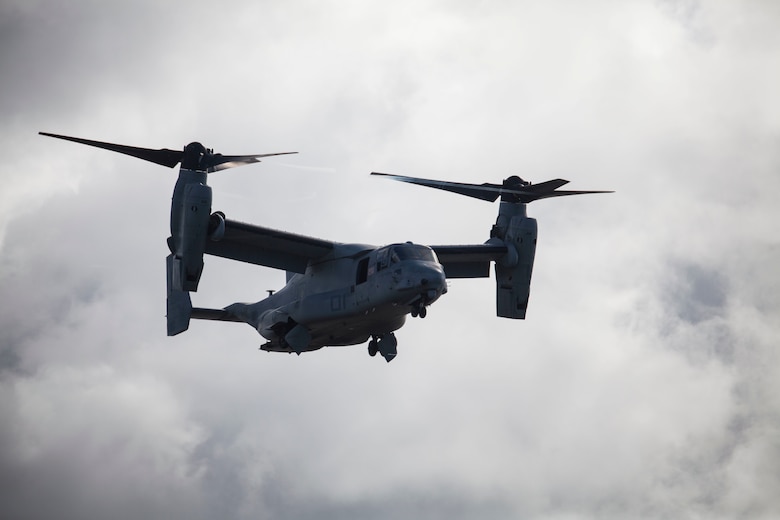 Marines with 3rd Battalion, 3rd Marine Regiment, conducted a non-combatant evacuation operation (NEO) at Marine Corps Training Area Bellows (MCTAB), July 25, 2017.