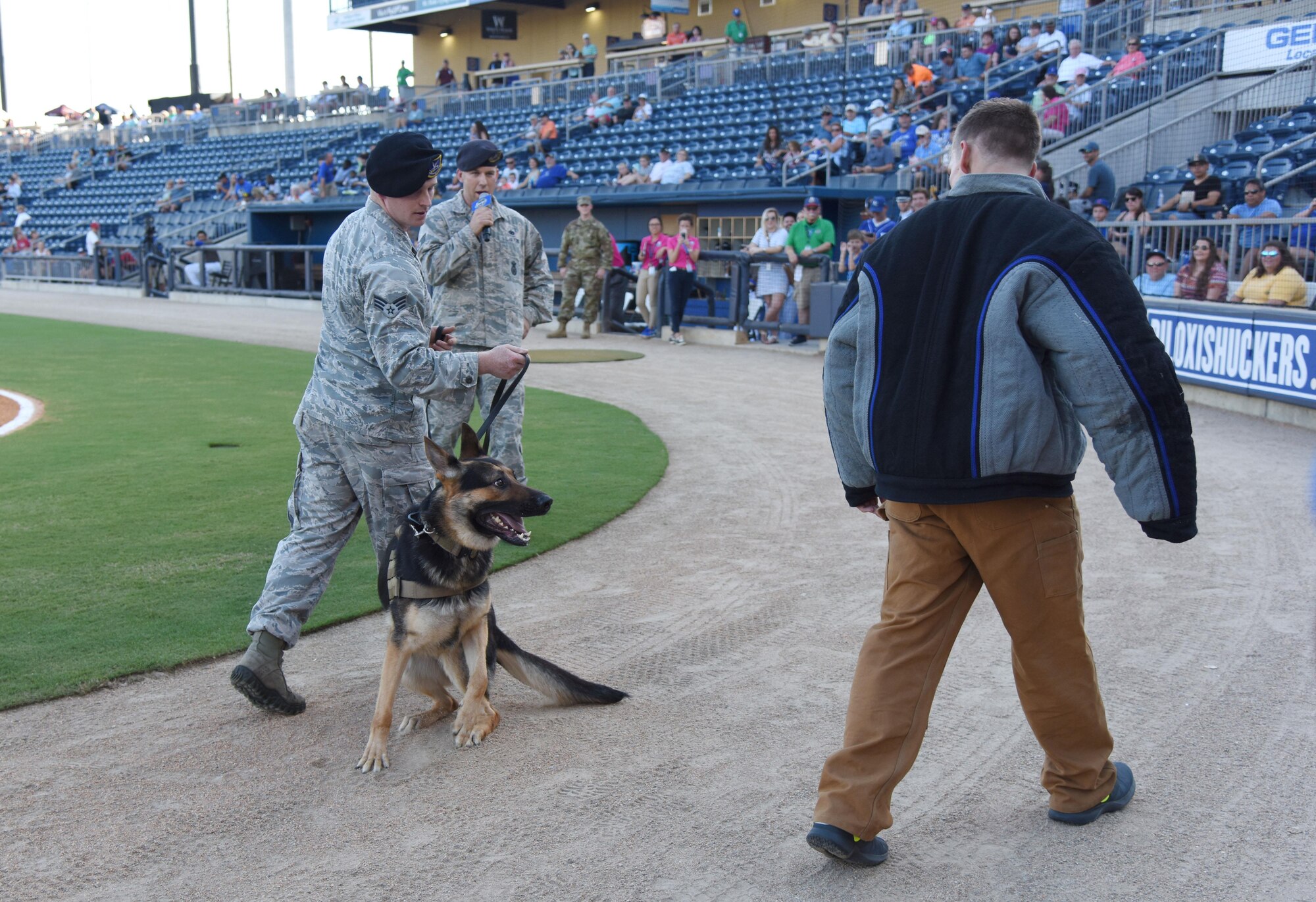 Members of the 81st Security Forces Squadron perform a military working dog demonstration during the Biloxi Shuckers Minor League Baseball team’s military appreciation night July 31, 2017, in Biloxi, Miss. The Shuckers recognized and honored service members and their families for serving the nation. (U.S. Air Force photo by Kemberly Groue)