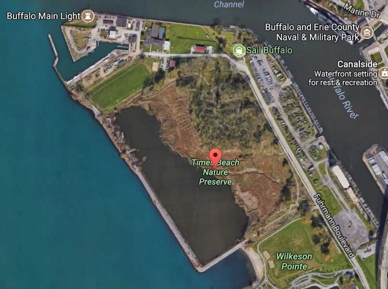 The Times Beach Aquatic Invasive Plant Control Project team will host a media event to highlight the team’s acceptance of an Engineering Excellence Award, followed by a Monarch butterfly and caterpillar release, Monday, August 7 at 2pm, at Times Beach located at 2 Fuhrmann Blvd, Buffalo, NY 14203.