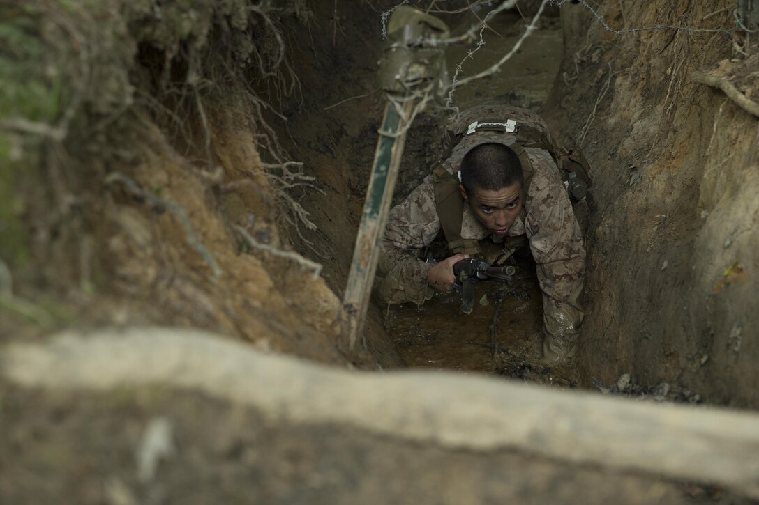 U.S. Marine Candidates participate in events such as the Obstacle, Endurance and Combat courses at the Officer Candidate School, Marine Corps Base Quantico, Va., June 14, 2017. Candidates must go through three months of intensive training to evaluate and screen individuals for the leadership, moral, mental, and physical qualities required for commissioning as a U.S. Marine Corps officer.  (U.S. Marine Corps photo by Lance Cpl. Cristian L. Ricardo)