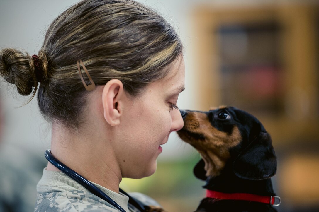 Army Capt. Janet Johnston, a veterinarian assigned to the Army Reserve's 169th Medical Detachment, is greeted by a dog