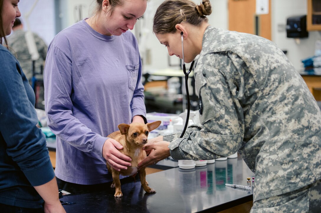 Veterinary technician vaccinating dog