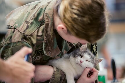 Smoky Mountain IRT Vet Clinic