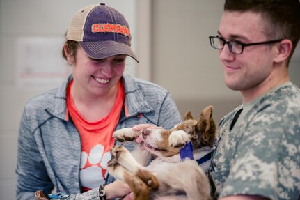 Smoky Mountain IRT Vet Clinic