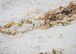 A ghost crab buries himself in the sand on the Santa Rosa Island Range July 29 at Eglin Air Force Base, Fla. (U.S. Air Force photo/Ilka Cole)