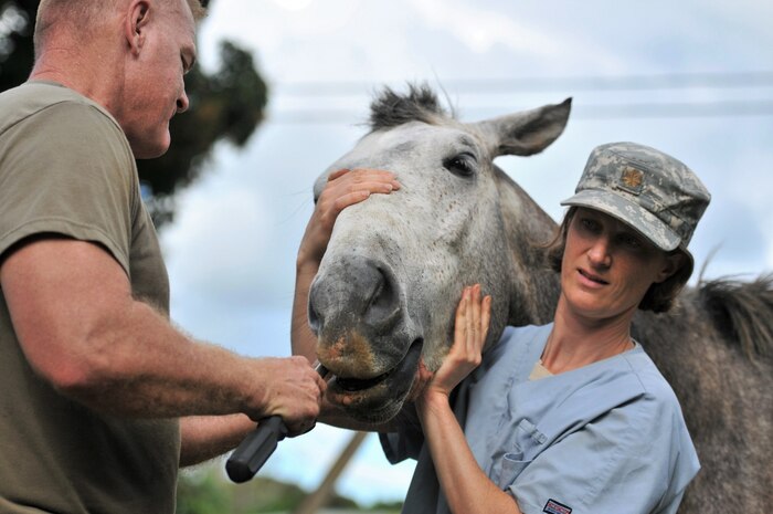 Army vets team with Nevada State Partnership Program for Tongan zoology health study