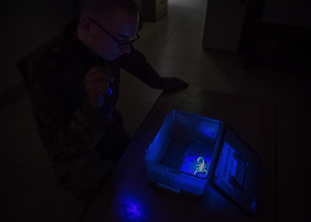 This week's Rock Solid Warrior is Senior Airman Stephan Giorgio