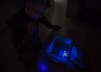 This week's Rock Solid Warrior is Senior Airman Stephan Giorgio