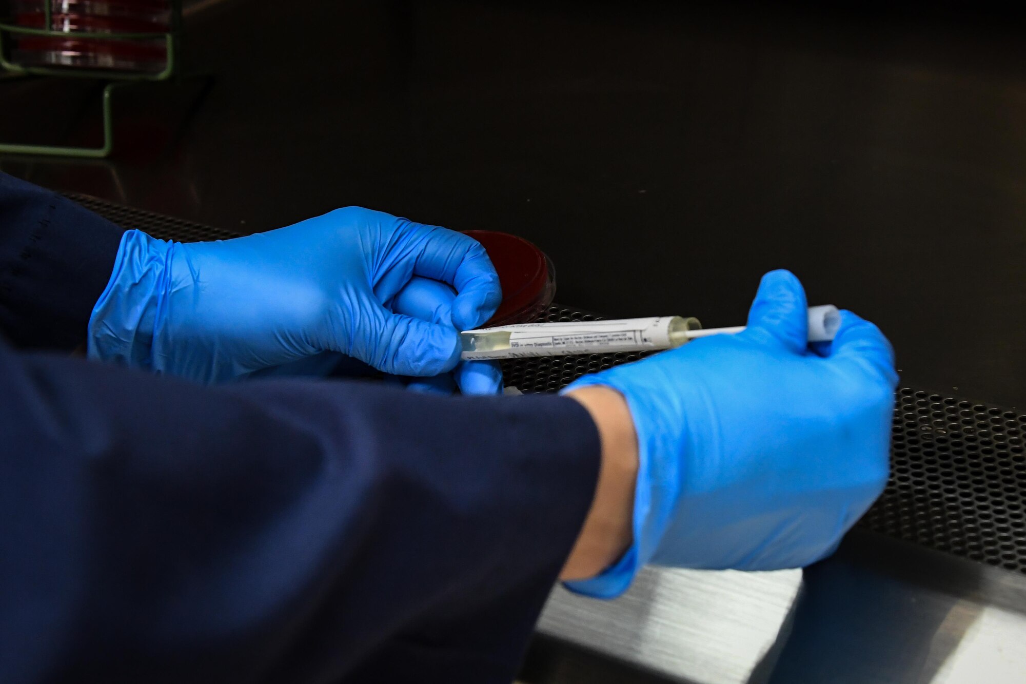 Senior Airman Josef Ansorge, 2nd Medical Group laboratory technician, inserts a cotton swab into a sample container before placing it in a petri dish at Barksdale Air Force Base, La., Aug. 2, 2017.