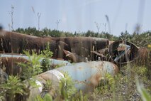 An assortment of foliage grows between munitions at Draughon Range, at Misawa City, Japan, Aug. 2, 2017. Once the range is done being used, range personnel go out and remove all shells after they have been deemed safe by the 35th Civil Engineer Squadron explosive ordnance disposal team. (U.S. Air Force photo by Airman 1st Class Sadie Colbert)