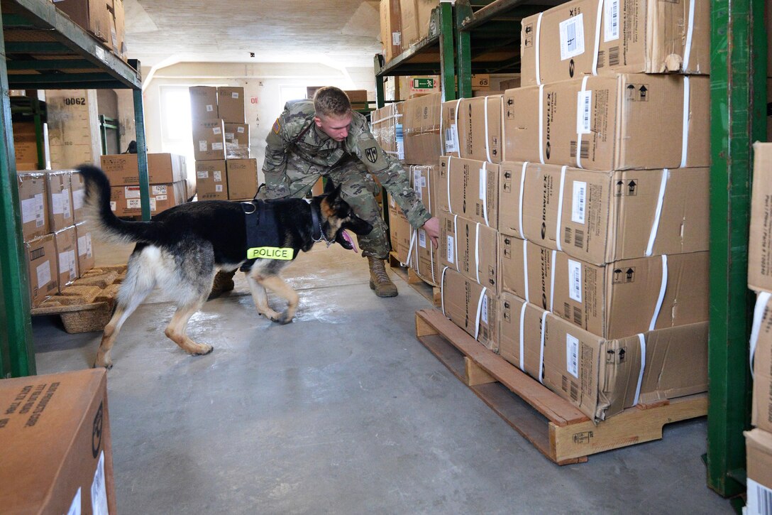 Army Pfc. Matthew Abkemeier and Cezar, a military working dog conduct a training search in a warehouse.
