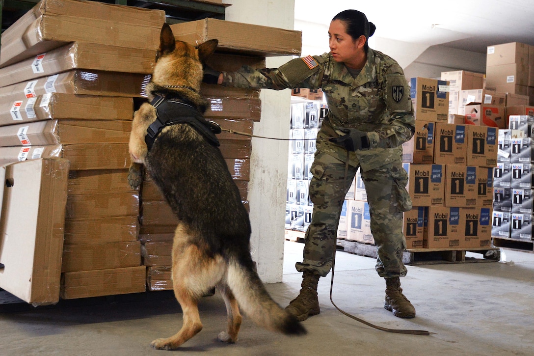 Army Pfc. Natalia Bonilla and Andy, her military working dog, conduct a training search in a warehouse.