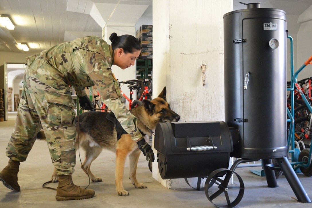 Army Pfc. Natalia Bonilla and Andy, her military working dog, conduct a warehouse search.