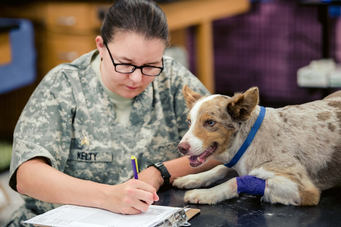 Army Sgt. Alicia Kelty records vital statistics for a dog named Pokey.