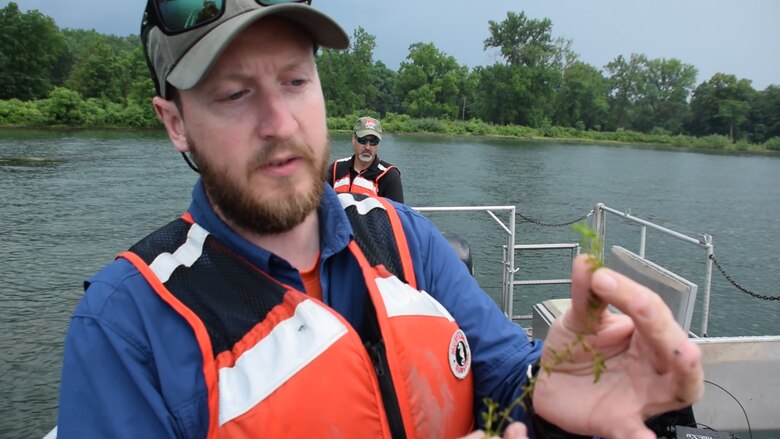 Biologist Michael Voohees inspects one of the plants pulled up from the bottom of Cayuga Lake near Aurora, NY on July 17, 2017. The purpose of the inspection was determine the amount of proliferation of the invasive Hydrilla plant; the plants were later treated with herbicides on July 20, 2017.