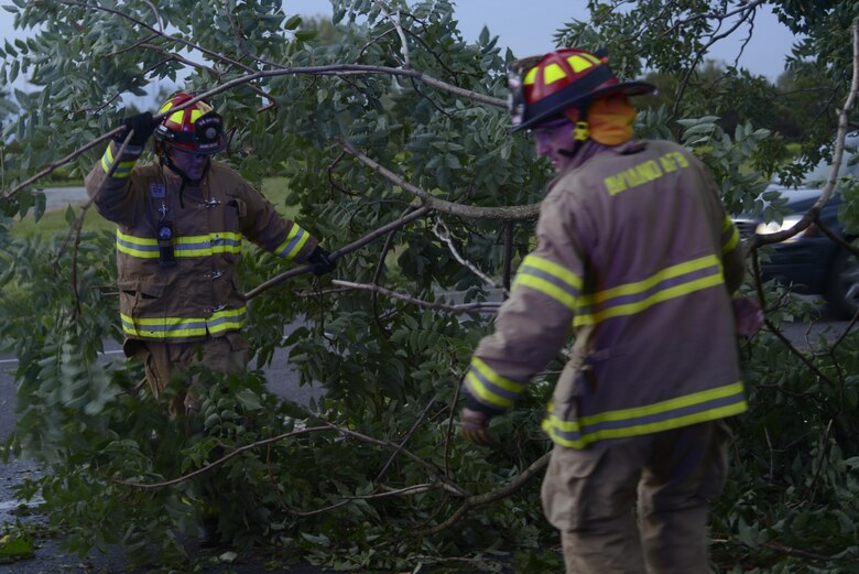 Tech. Sgt. Brian Martenis and Fabrizio La Marca, 31st Civil Engineer Squadron firefighters, remove a tree from a highway Aug. 10, 2017 in Pordenone Province, Italy. The 31st CES firefighters teamed with local first responders to clear roadways after heavy thunderstorms passed through the area. (U.S. Air Force photo by Tech. Sgt. Andrew Satran)