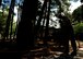 U.S. Airmen assigned to the 20th Civil Engineer Squadron worked as a team to demolish an uneven concrete sidewalk upheaved by tree roots at Shaw Air Force Base, S.C., Aug. 10, 2017. The pavement and construction equipment Airmen,  also known as “Dirt Boyz,” used tools such as a pneumatic 30-pound jack hammer and pickaxe to remove approximately five cubic yards of concrete to make way for a new path. (U.S. Air Force photos by Airman 1st Class Kathryn R.C. Reaves)