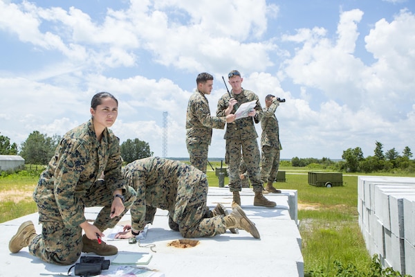 Marines with 4th Air Naval Gunfire Liaison Company, Force Headquarters Group, Marine Forces Reserve, participate in their final exercise for the Joint Fires Observer primer course at Avon Park Air Force Range in Avon Park, Florida, Aug. 11, 2017.