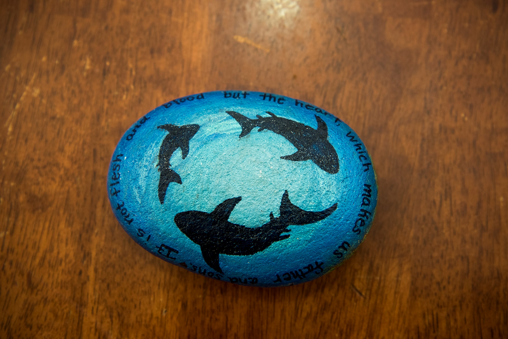 Members of PAFB rocks! paint rocks to display and hide around Peterson Air Force Base, Colo., for others to find. Aug. 4, 2017. This rock was painted by Andrea Collis for a shark week themed week of July 31. (U.S. Air Force photo by Steve Kotecki)