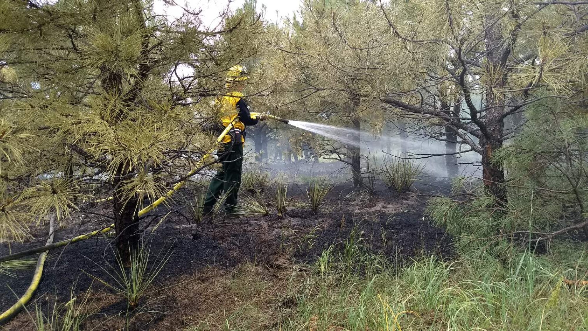 Brush fire