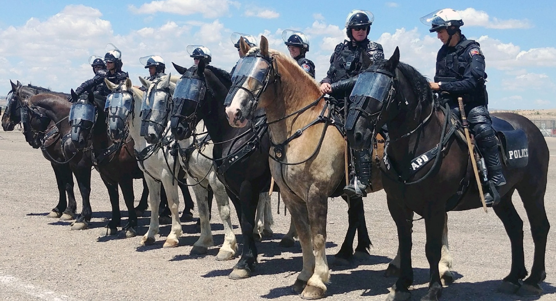 The Albuquerque Police Department’s Mounted Patrol officers prepare to participate in the Vigilant Guard exercise as part of a riot control scenario Aug. 8 in Albuquerque, N.M. The exercise was a multi-faceted exercise that comprised of several different scenarios in various location of New Mexico to provide a more realistic training.