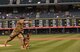Senior Airman Rafael Del Real, 90th Security Forces Squadron military working dog handler, F.E. Warren Air Force Base, Wyo., throws the first pitch at the Colorado Rockies vs. Atlanta Braves baseball game in Denver Colo., Aug. 16, 2017. (U.S. Air Force Photo by Airman 1st class Braydon Williams)