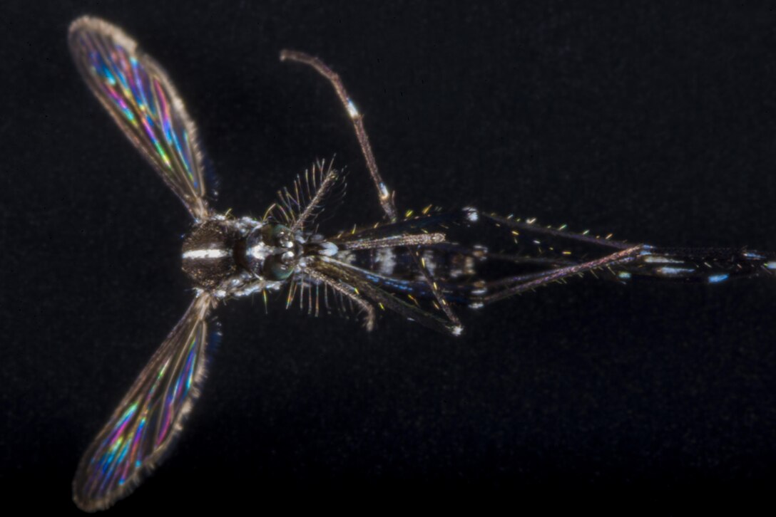 374th Public Health, Preventative Health Month