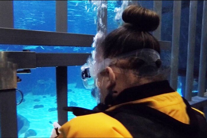 The underwater view of the back of a soldier's head as she looks through a cage into water with sharks swimming.